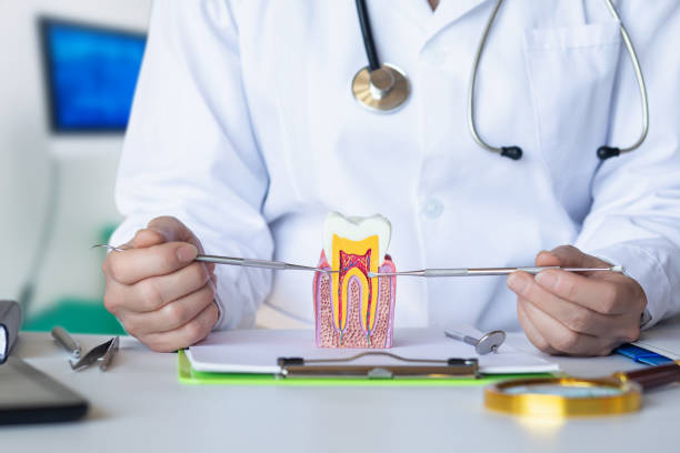 Best Pediatric Emergency Dentist in Meyers, CA